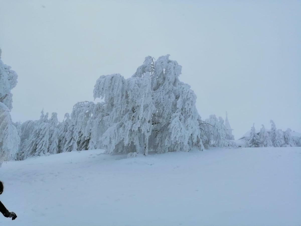 Colt De Rai - Camera De Inchiriat Reșița Dış mekan fotoğraf