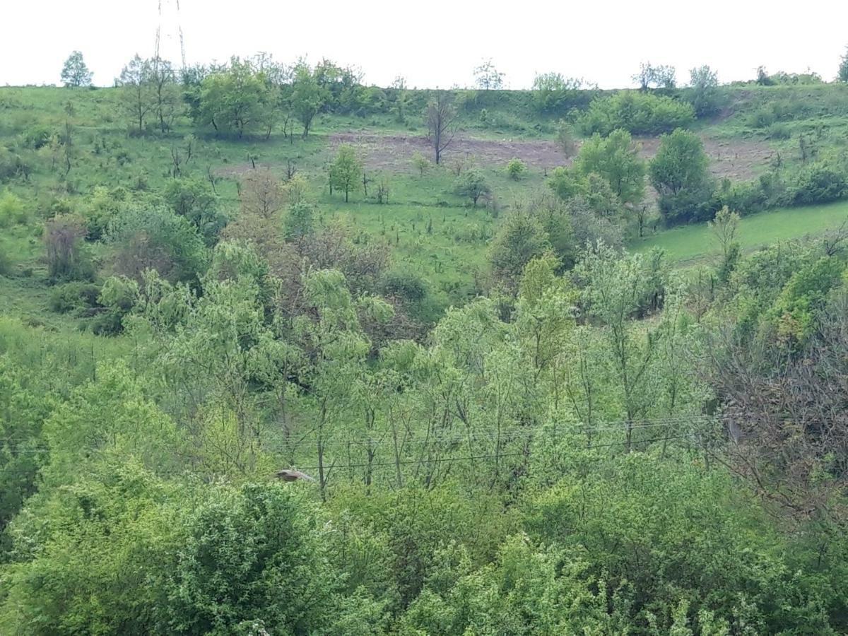 Colt De Rai - Camera De Inchiriat Reșița Dış mekan fotoğraf